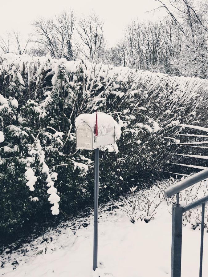 Ferienwohnung Schweier - Ausserhalb Und Doch Zentral Freiburg im Breisgau Exteriör bild